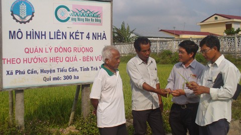 New development direction for Mekong Delta provinces - ảnh 1